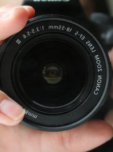 zoom-sur-le-regime-low-carb